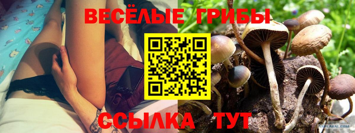 Псилоцибиновые грибы мухоморы Пыть-Ях